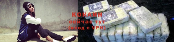 шишки Покровск